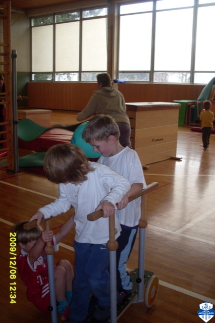 zwerg halle 40