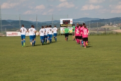 audicup_2016_finaltag_pic_072