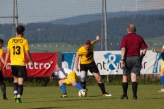 audicup_2016_finaltag_pic_323