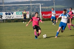 audicup_2016_pic_229