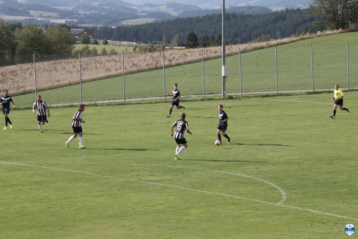 audicup_2017_finaltag_keil_068