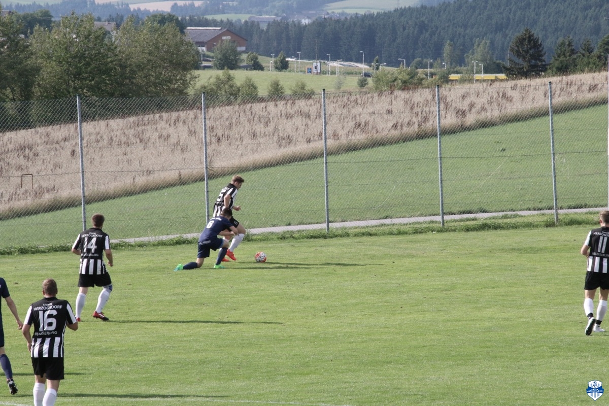 audicup_2017_finaltag_keil_073