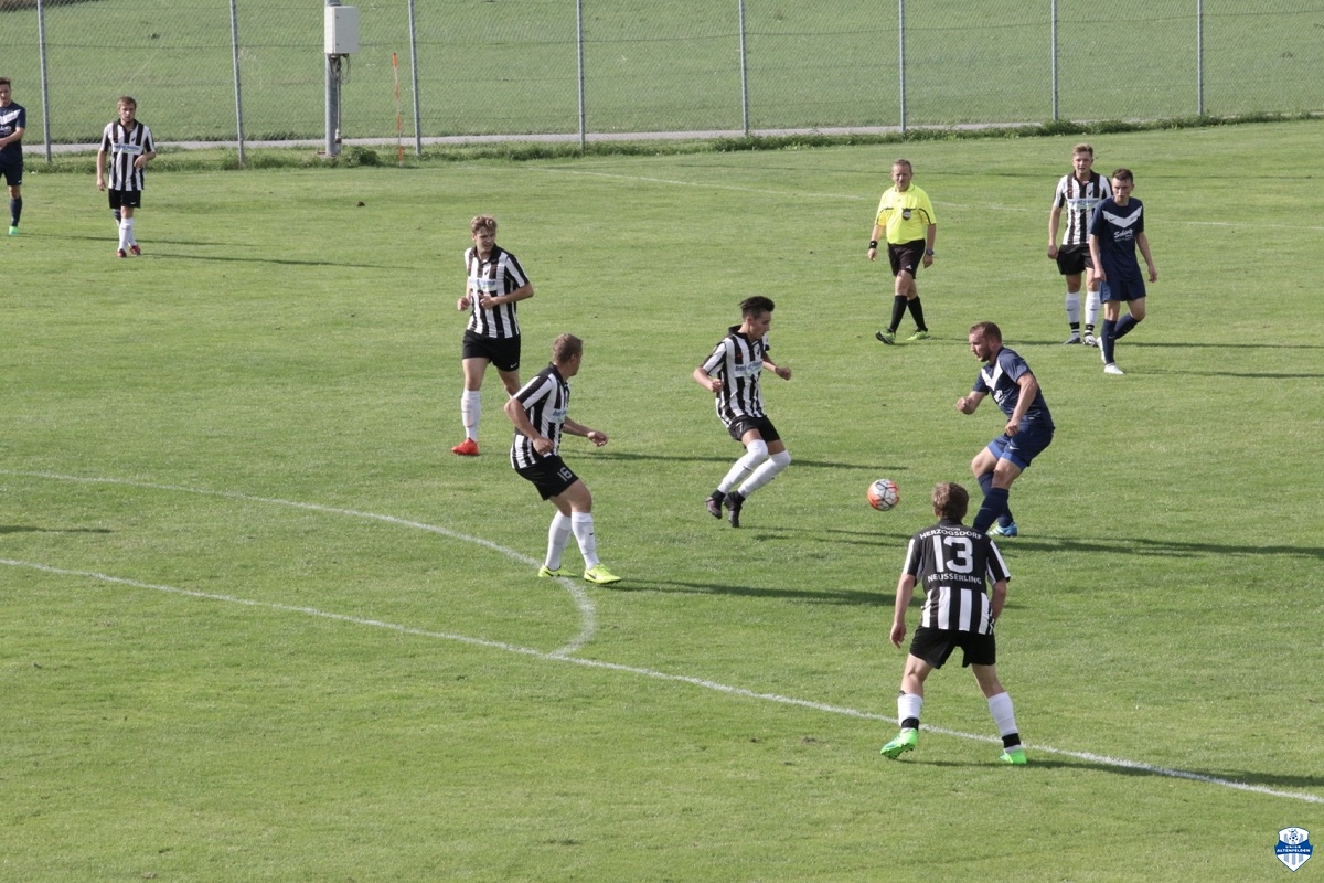 audicup_2017_finaltag_keil_076