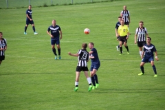 audicup_2017_finaltag_keil_046