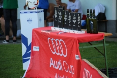 audicup_2017_finaltag_keil_144