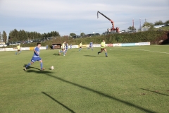 audicup_2017_finaltag_keil_163
