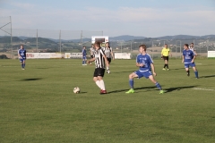 audicup_2017_finaltag_keil_176