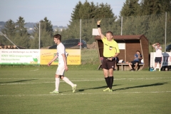 audicup_2017_finaltag_keil_212