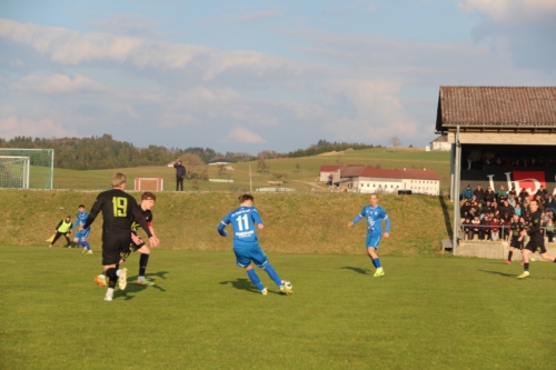 2026 03 22 stpeter 103