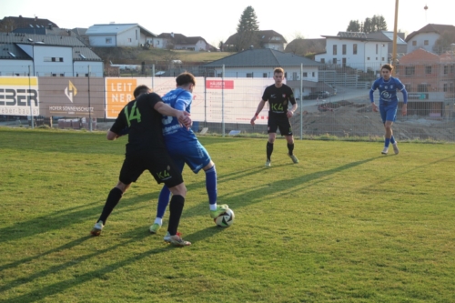 2026 03 22 stpeter 134