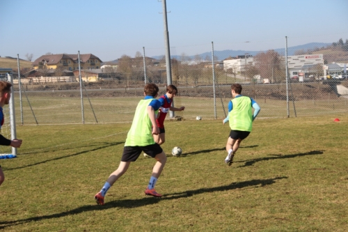 trainingstage2026 training3 101