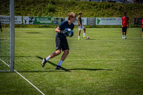 DSC 2010